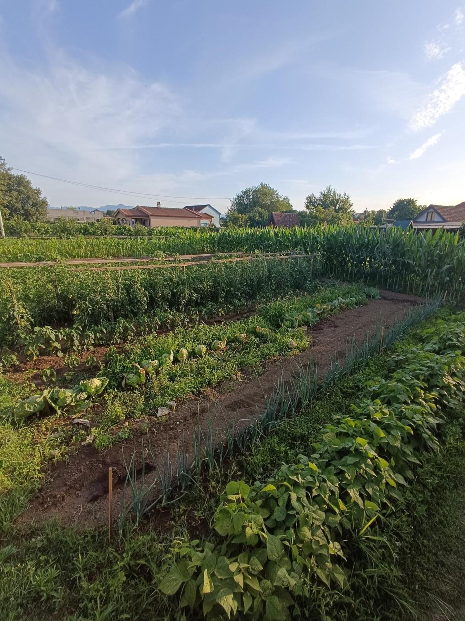 Balabani Local Stay Golubovci Екстер'єр фото